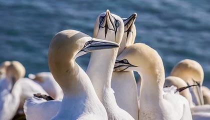 星空体育网页-探索电竞新时代——im电竞平台，开启你的极致游戏体验