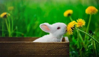 星空体育网页-探索电竞新时代——im电竞平台，开启你的极致游戏体验